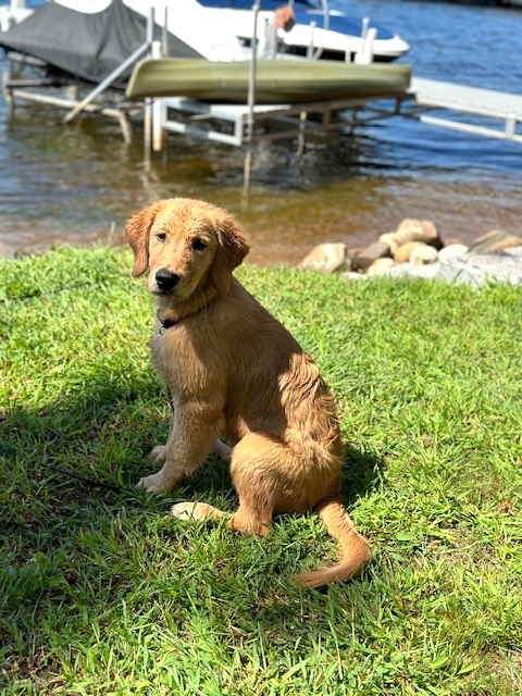 Waiting for the boat.jpg